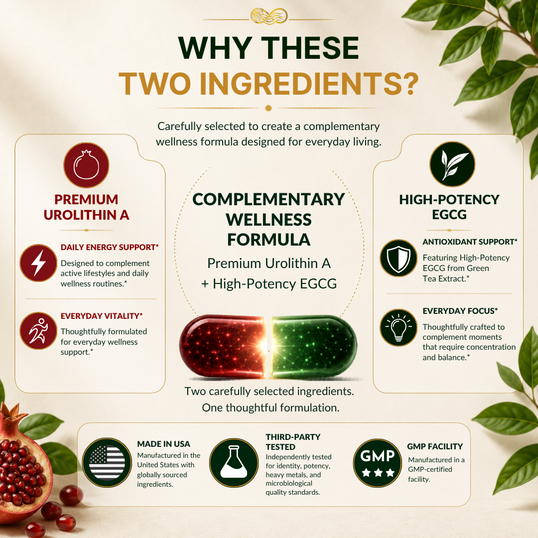 TURRILIFE™ Ultra-Pure Urolithin A (≥98% Purity) + High-Potency EGCG (≥98% Polyphenols) – Premium Daily Wellness Formula – 60 Capsules - Image 4