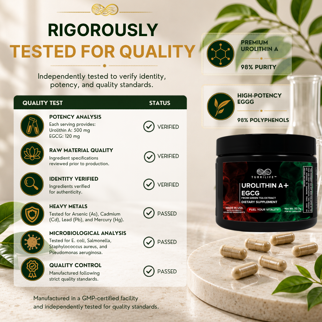 TURRILIFE™ Ultra-Pure Urolithin A (≥98% Purity) + High-Potency EGCG (≥98% Polyphenols) – Premium Daily Wellness Formula – 60 Capsules - Image 6